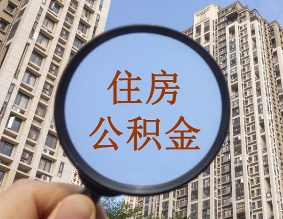 自贡退休后查不到公积金明细了吗（退休后公积金查询不到原因）